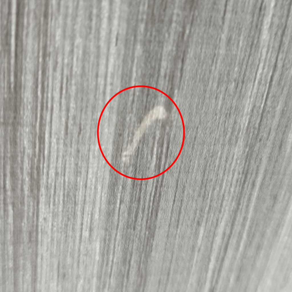 Toldo Fiamma F45S 260 PSA Deep Black Royal-Grey (recogido en nuestras instalaciones) (RASTRO)